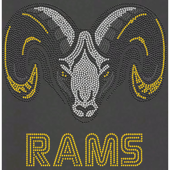 Randalstown HS T Shirt/Hoodie